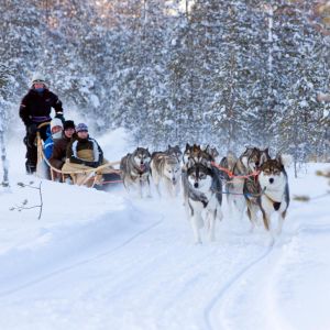 husky-sleigh-ride-alps